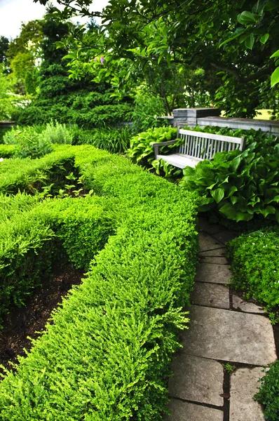 Giardino verde lussureggiante — Foto Stock