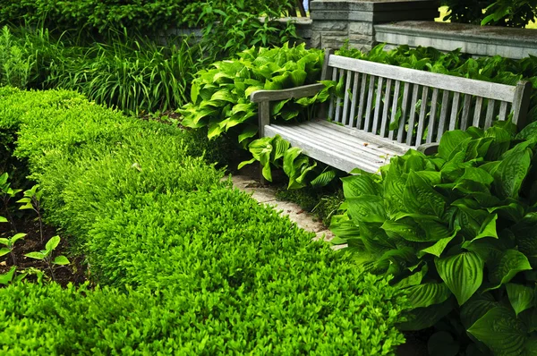 Svěží zelená zahrada — Stock fotografie
