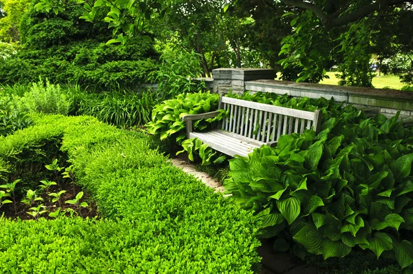 Jardín verde exuberante —  Fotos de Stock