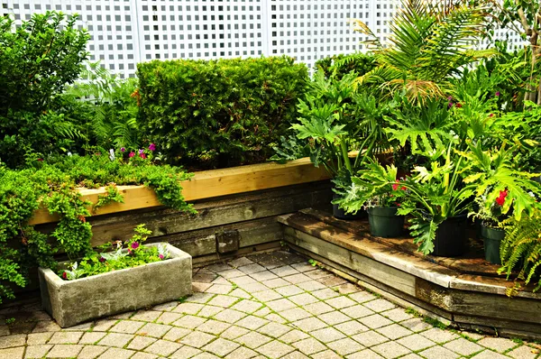 Giardino verde lussureggiante — Foto Stock