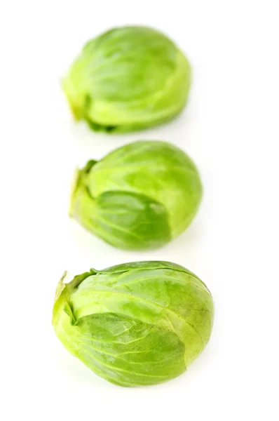 İzole Brüksel lahanaları — Stok fotoğraf