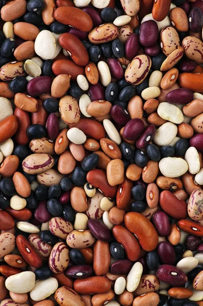 Suché fazole — Stock fotografie