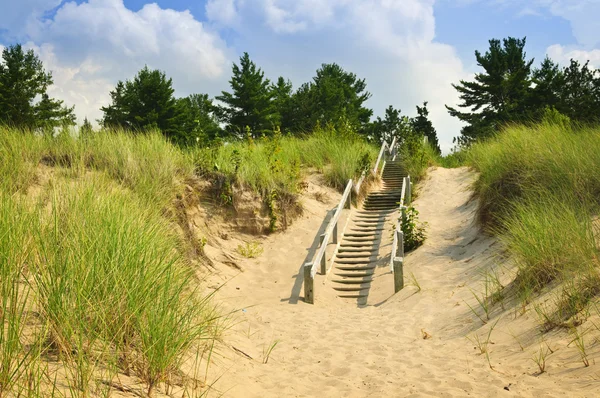 Деревянные лестницы над дюнами на пляже — стоковое фото