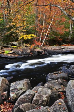 Fall forest and river landscape clipart