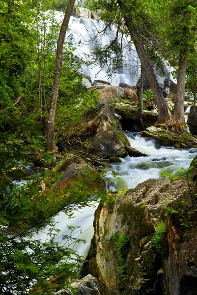 River through woods — Stock Photo, Image