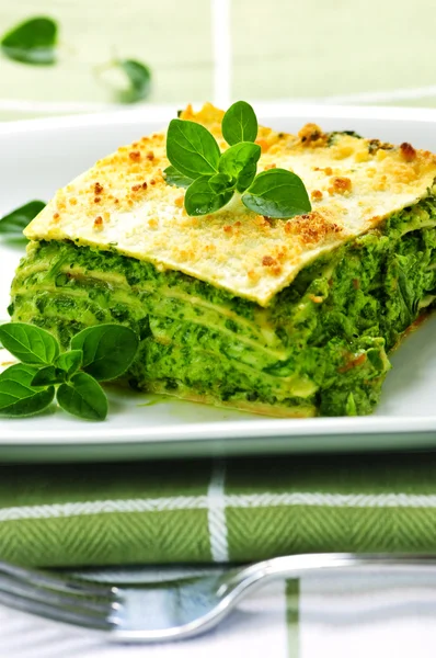 Teller mit vegetarischer Lasagne — Stockfoto
