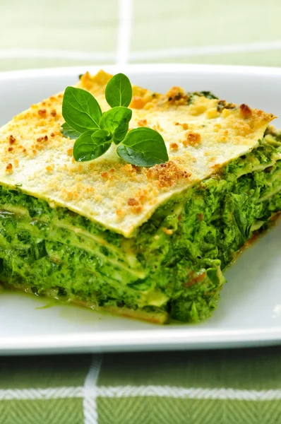 Plate of vegeterian lasagna — Stock Photo, Image