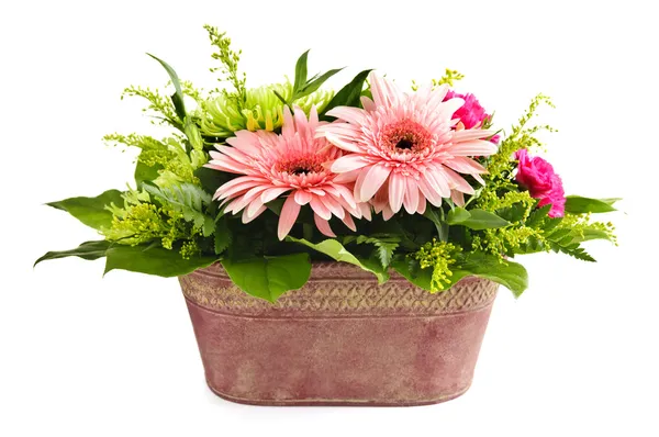 Isolierte Blumenarrangements — Stockfoto