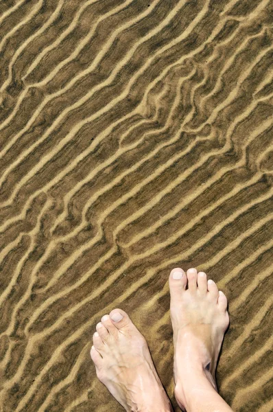 Füße im flachen Wasser — Stockfoto