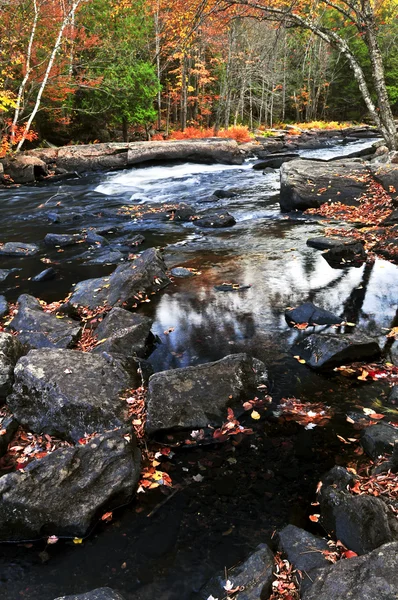 Herbst Wald und Flusslandschaft — Stockfoto
