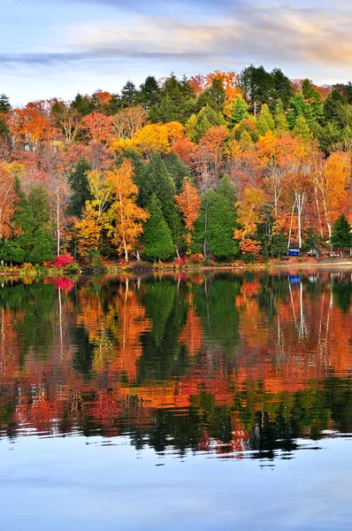 Осенние лесные отражения — стоковое фото
