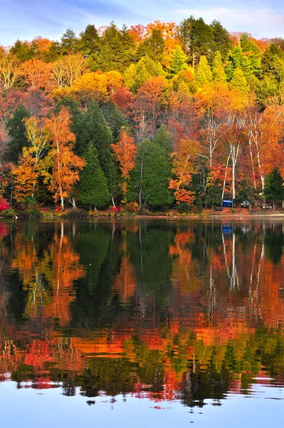 秋の森の反射 — ストック写真