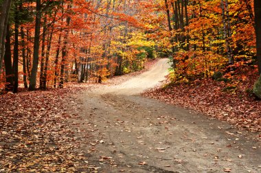 yolu ile sonbahar manzarası