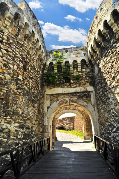 Kalemegdan fortress in Belgrade — Stock Photo, Image