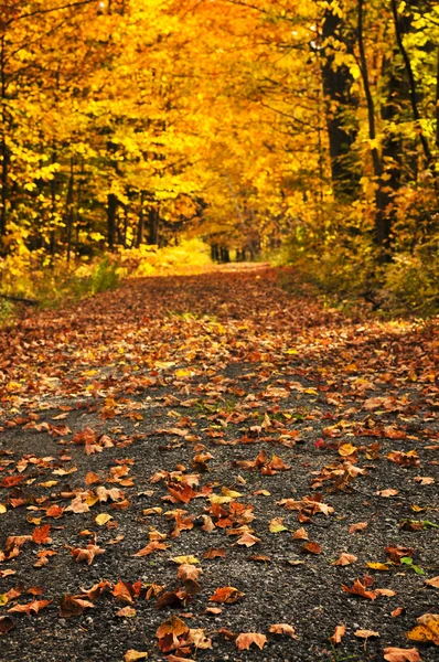 Осенний путь — стоковое фото