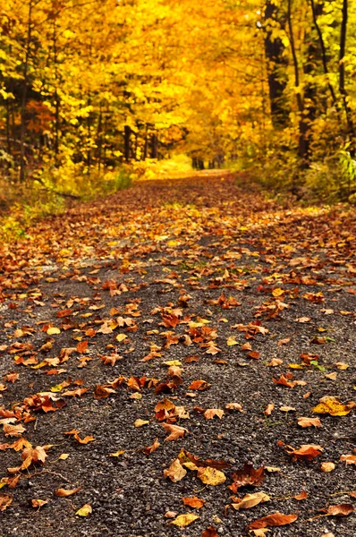 Sonbahar yolu — Stok fotoğraf