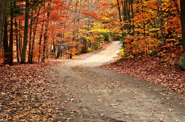 Herbstlandschaft mit Pfad — Stockfoto