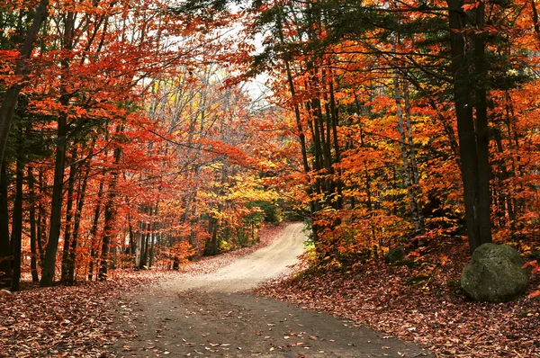 Yolu ile sonbahar manzarası — Stok fotoğraf