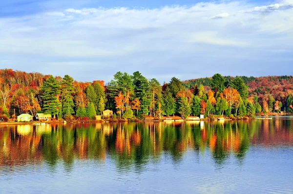 Reflexiones forestales de otoño —  Fotos de Stock