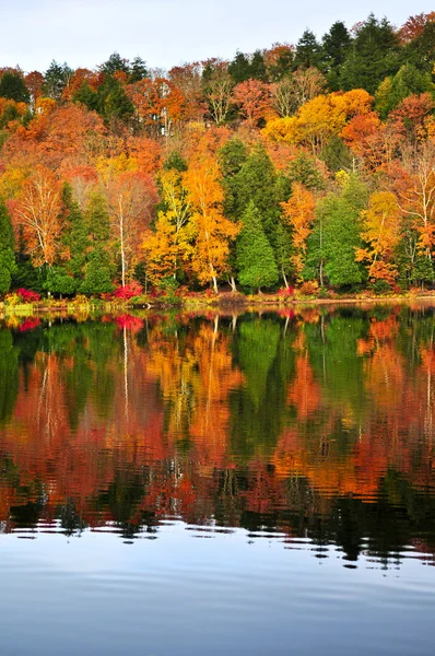 Podzim lesní odrazy — Stock fotografie