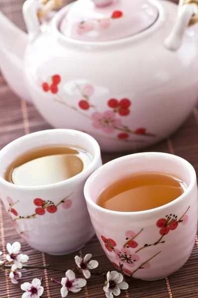 Зеленого чаю набір — стокове фото