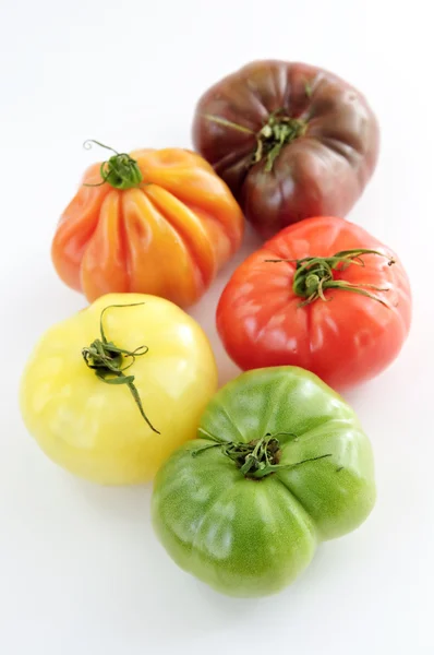 家宝のトマト — ストック写真