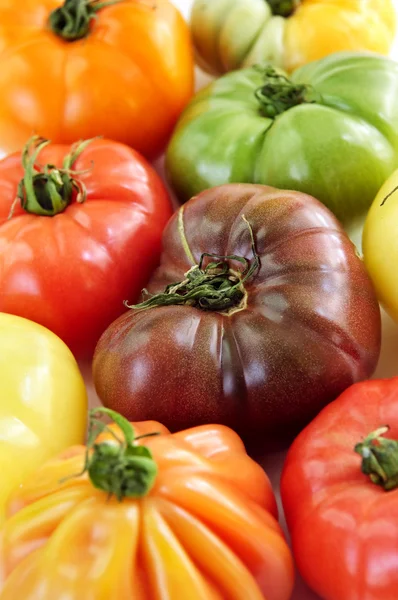 Tomates de reliquia — Foto de Stock