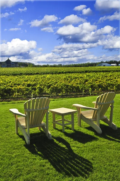 stock image Chairs overlooking vineyard