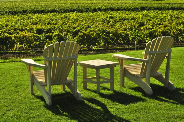 Chairs overlooking vineyard — Stock Photo, Image