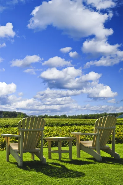 ブドウ畑を見渡す椅子 — ストック写真