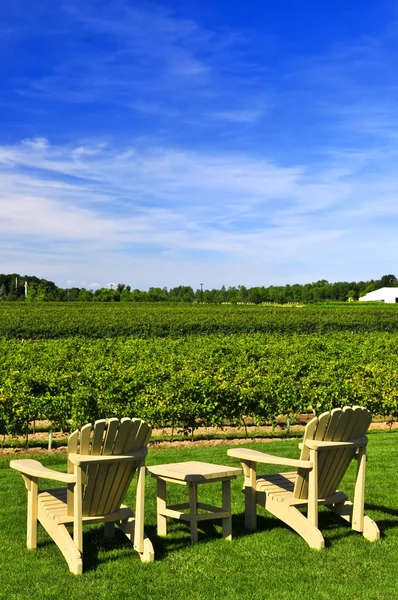 Stoelen met uitzicht op de wijngaard — Stockfoto