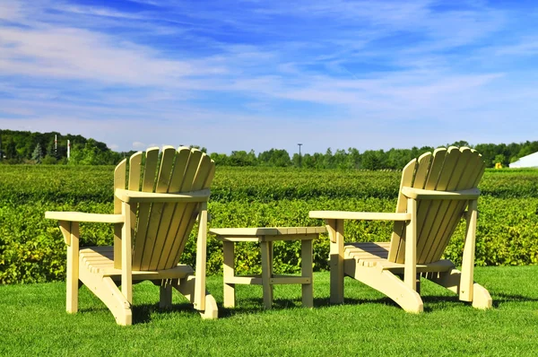 Chairs overlooking vineyard — Stock Photo, Image