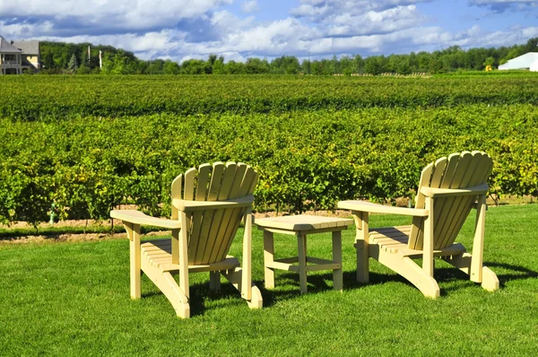 Židle s výhledem na vinice — Stock fotografie