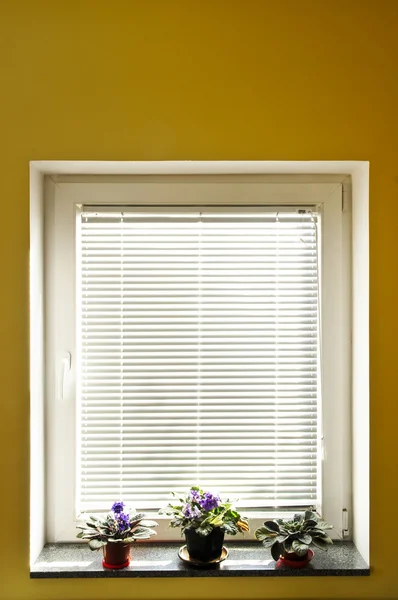 창문의 균열 — 스톡 사진