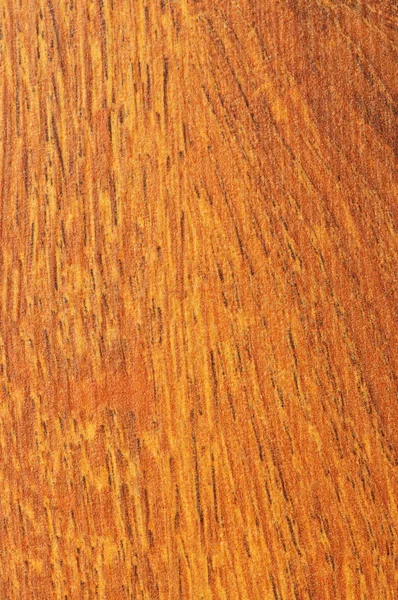 前完成的硬木地板样品 — 图库照片