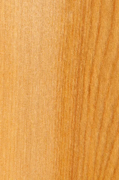 Échantillon de plancher de bois franc préfini — Photo