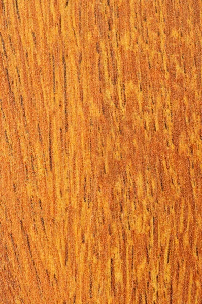 Pre-finished 나무 바닥 샘플 — 스톡 사진