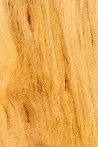 Wstępnie wykoń-drewniane podłogi próbki — Zdjęcie stockowe