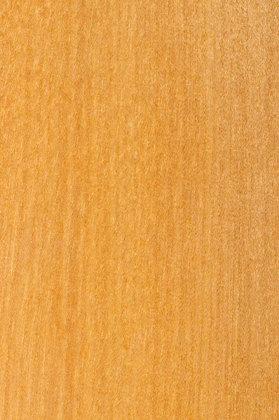 Pre-finished 堅材の床サンプル — ストック写真