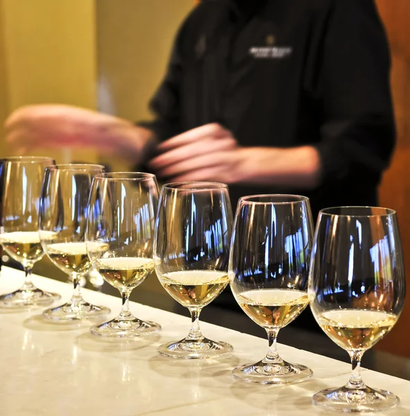 Wine tasting glasses — Stock Photo, Image