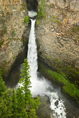 Spahats Falls waterfall in Wells Gray Provincial Park, Canada clipart