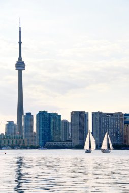 Toronto manzarası