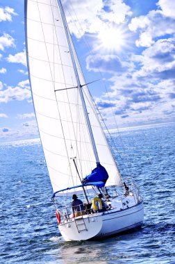 Sailboat with white sail sailing on a sunny day clipart