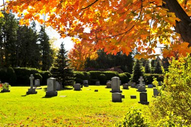 Graveyard with tombstones clipart