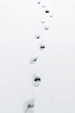 Footprints in fresh pristine snow close up clipart