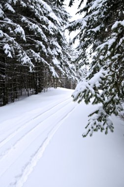 karlı ağaç ve snowmobile yolu kış manzarası