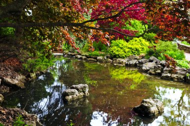 Pond in zen garden clipart