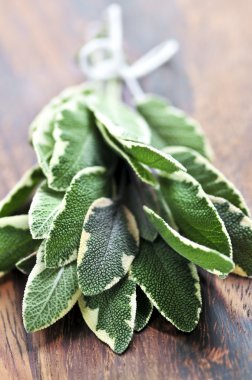 Bunch of fresh herb sage close up on wooden cutting board clipart