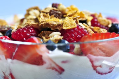 Yoğurtlu taze meyveleri ve granola porsiyon