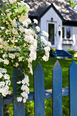 blauwe hek met witte bloemen